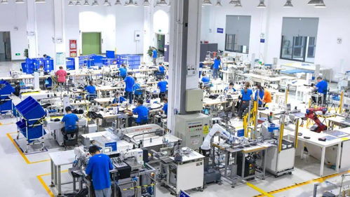 服装行业里的“中央厨房” 柔性供应链如何重塑社会经济咨询服务