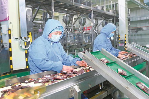 冲刺年度目标，助力企业产销两旺 社会经济咨询服务的核心价值