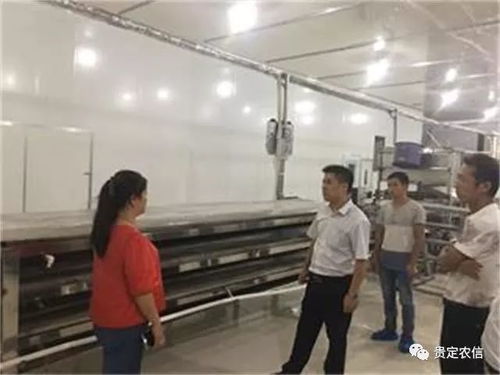 北京贵州米粉厂里的“金融夜校” 一碗粉背后的社会经济咨询服务