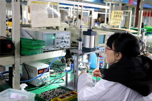 创建市级高新区 金特电子以创新驱动经济效益提升，发展不忘社会担当